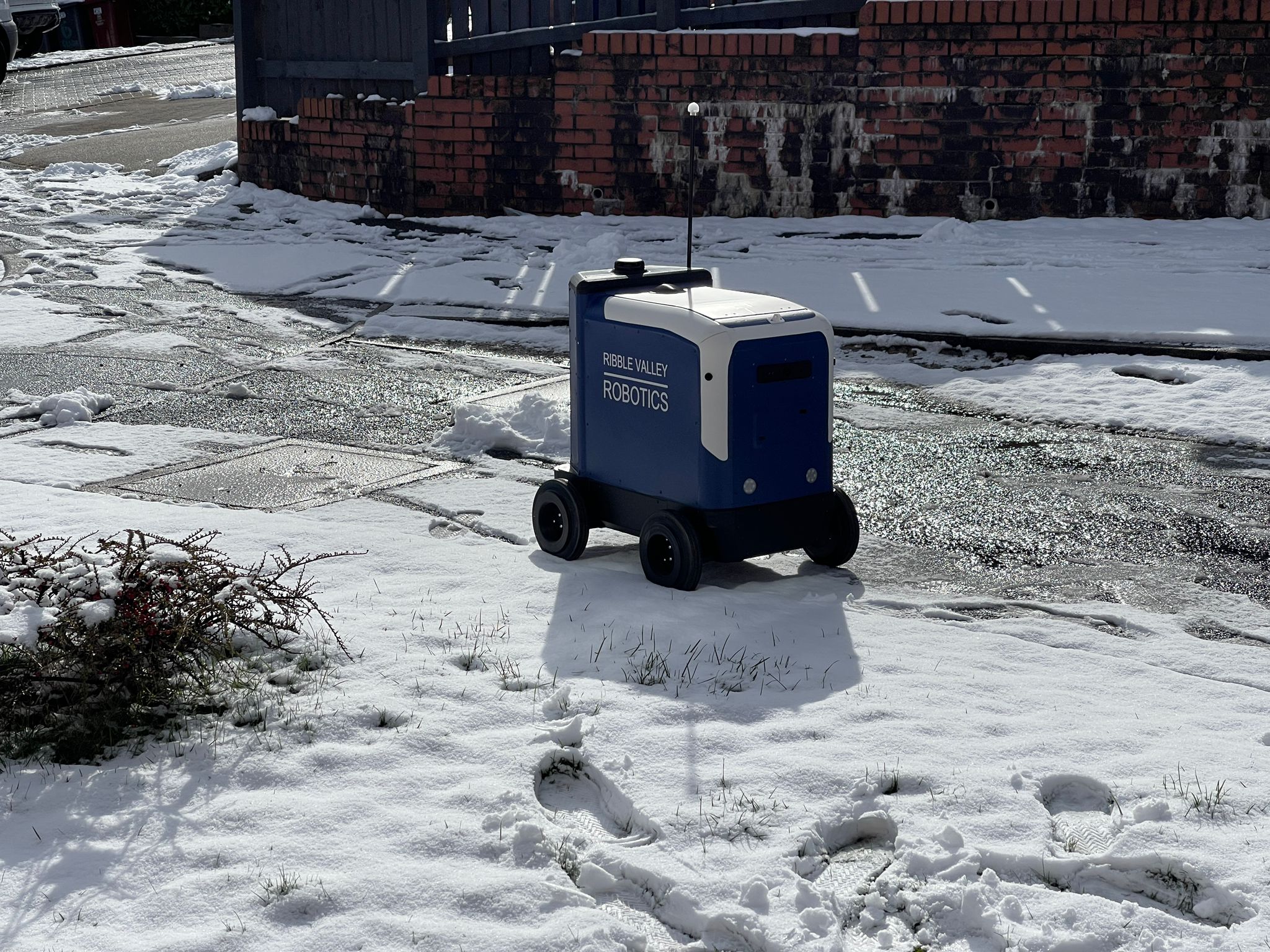 PHOTO-2023-03-10-10-48-54 4 what's this white stuff